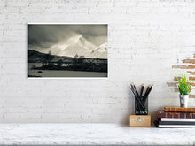 Load image into Gallery viewer, 1367094-4092534