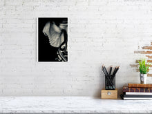 Load image into Gallery viewer, 1367087-4092520