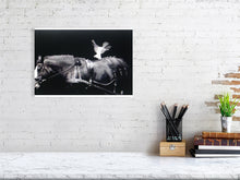 Load image into Gallery viewer, 1377493-4094914