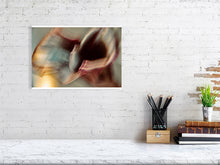 Load image into Gallery viewer, 1367101-4092555