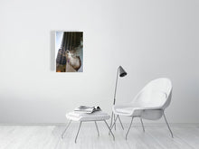 Load image into Gallery viewer, 1367096-4092539