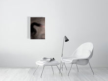 Load image into Gallery viewer, 1367093-4092530