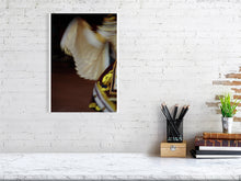 Load image into Gallery viewer, 1366778-420564