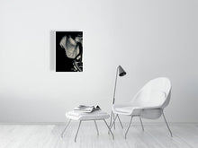 Load image into Gallery viewer, 1367087-4092518