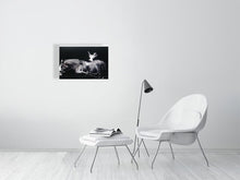 Load image into Gallery viewer, 1377493-4094913