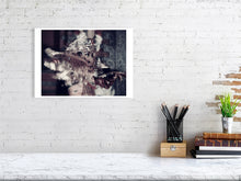 Load image into Gallery viewer, 1367088-4092522
