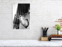 Load image into Gallery viewer, 1367097-4092543