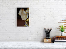 Load image into Gallery viewer, 1366778-420565