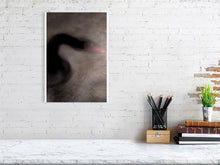 Load image into Gallery viewer, 1367093-4092531