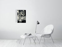 Load image into Gallery viewer, 1366923-4092488