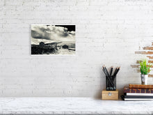 Load image into Gallery viewer, 1377497-4094923