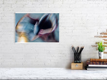 Load image into Gallery viewer, 1367103-4092561