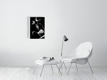Load image into Gallery viewer, 1367095-4092536