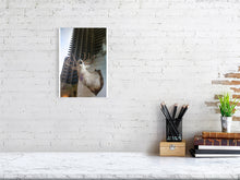 Load image into Gallery viewer, 1367096-4092541