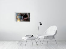 Load image into Gallery viewer, 1367100-4092551