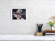 Load image into Gallery viewer, 1367088-4092523