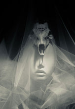 Load image into Gallery viewer, 1366780