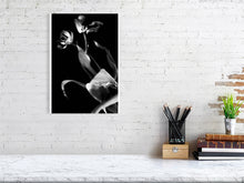 Load image into Gallery viewer, 1367095-4092537
