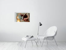 Load image into Gallery viewer, 1367101-4092554