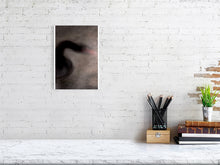 Load image into Gallery viewer, 1367093-4092532