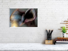 Load image into Gallery viewer, 1367100-4092552