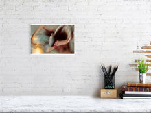 Load image into Gallery viewer, 1367101-4092556
