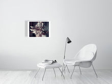 Load image into Gallery viewer, 1367088-4092521