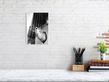 Load image into Gallery viewer, 1367097-4092544