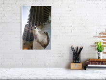 Load image into Gallery viewer, 1367096-4092540