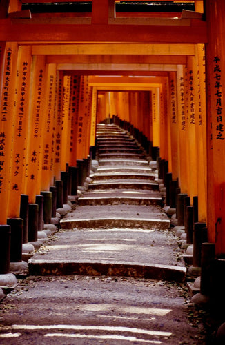 VERMILLION GATES   Kyoto