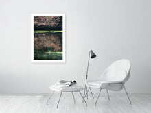 Load image into Gallery viewer, NATURE&#39;S MIRROR   London