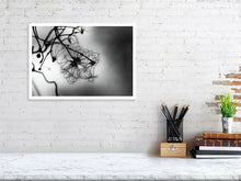 Load image into Gallery viewer, WINTER CLEMATIS 1673   England b&amp;w