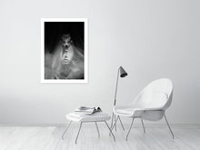 Load image into Gallery viewer, BANISH BIG GAME TROPHY HUNTING   b&amp;w