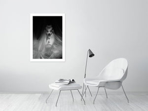 BANISH BIG GAME TROPHY HUNTING   b&w