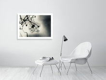 Load image into Gallery viewer, WINTER CLEMATIS   England silvertone