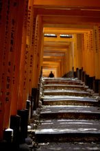 Load image into Gallery viewer, VERMILLION STEPS   Kyoto