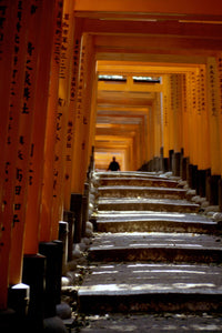 VERMILLION STEPS   Kyoto