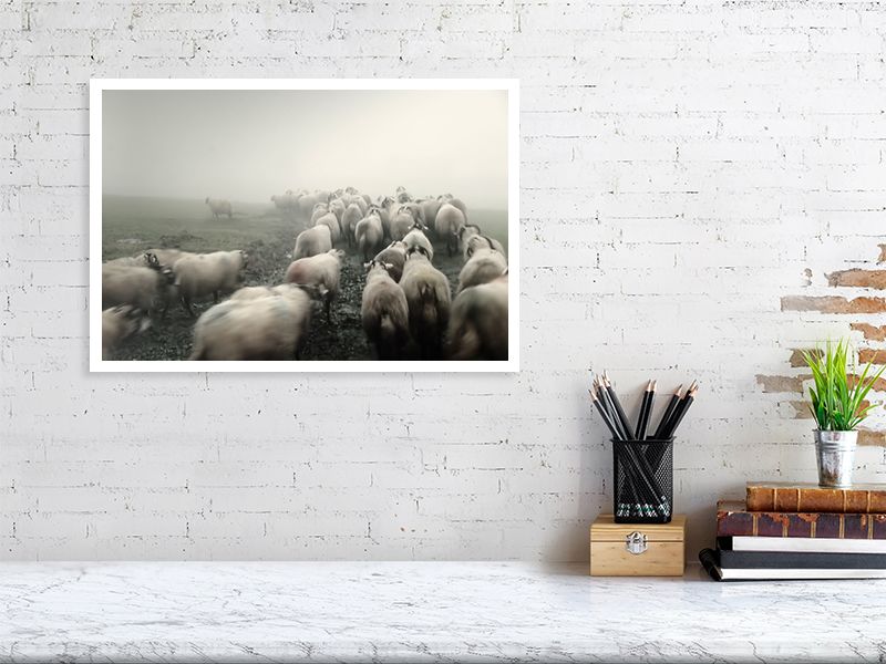 PRETTY IN MIST   England