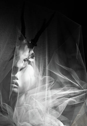 PORTRAIT OF ENDANGERED WIDLIFE B&W