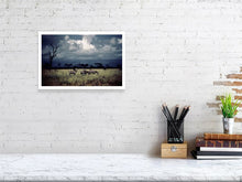 Load image into Gallery viewer, ZEBRAS AND TREE   Kenya