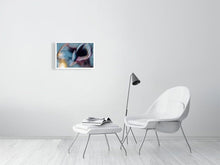 Load image into Gallery viewer, CALLA LILY IN TURQUOISE ROSE