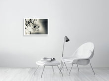 Load image into Gallery viewer, WINTER CLEMATIS   England silvertone