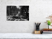 Load image into Gallery viewer, MOSS AND STONE   England b&amp;w