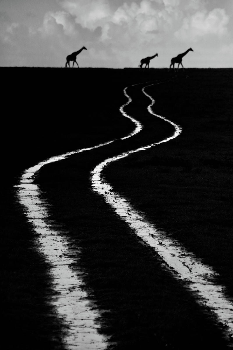 THEN THERE WERE THREE   Kenya b&w