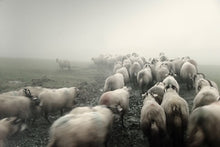 Load image into Gallery viewer, PRETTY IN MIST   England