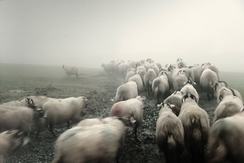 PRETTY IN MIST   England