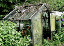 Load image into Gallery viewer, GREENHOUSE MEMORIES   England