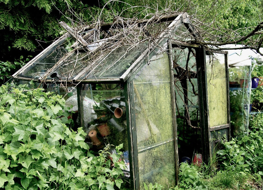 GREENHOUSE MEMORIES   England