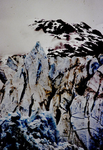 MENDENHALL GLACIER   Alaska