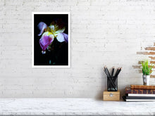 Load image into Gallery viewer, IRIS IN BLOOM